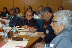 Pulses Consultation at New Delhi India 