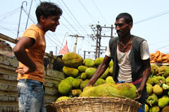 Trade, Agricultural Policies and Structural Changes in India’s Agrifood System; Implications for National and Global Market (TAPSIM)