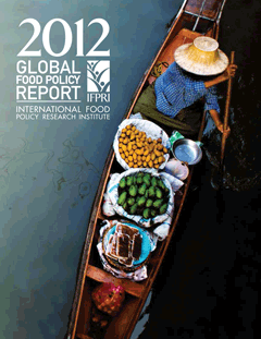 South Asia in IFPRI’s Global Food Policy Report