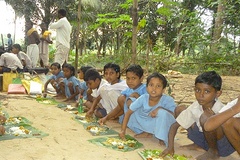 The Agriculture- Nutrition Disconnect in India