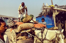 Past, Present and the Future of Agriculture in India