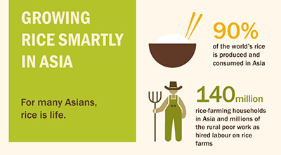 A new regional strategy calls for modernization and transformation of the rice sector in Asia