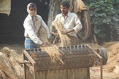 Climate Smart Agriculture and Farmers Preferences