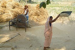 Bihar: Food Security and the Way Forward