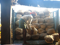 Cold Storages In Bihar