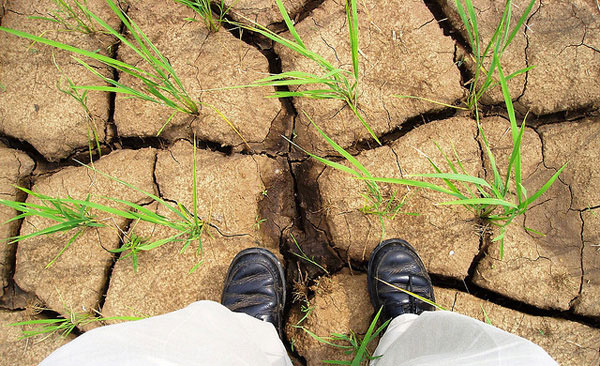 Tandem technologies and drought-risk management in Bangladesh