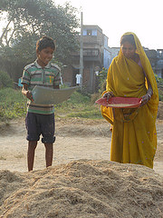 Women Farmer Winnowing Rice, Bihar. Source (Flickr) Divya Pandey, IFPRI