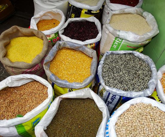 Conference: Pulses for Sustainable Agriculture and Human Health