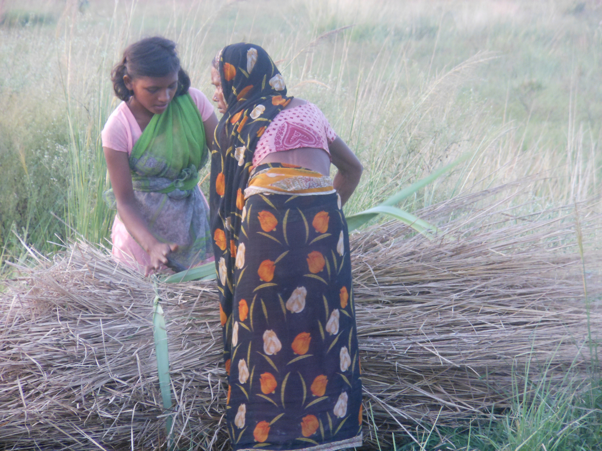Multiple Factors Hamper CCT Scheme
