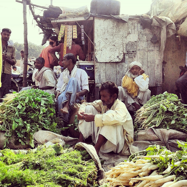 Highlights of Recent IFPRI Food Policy Research in India