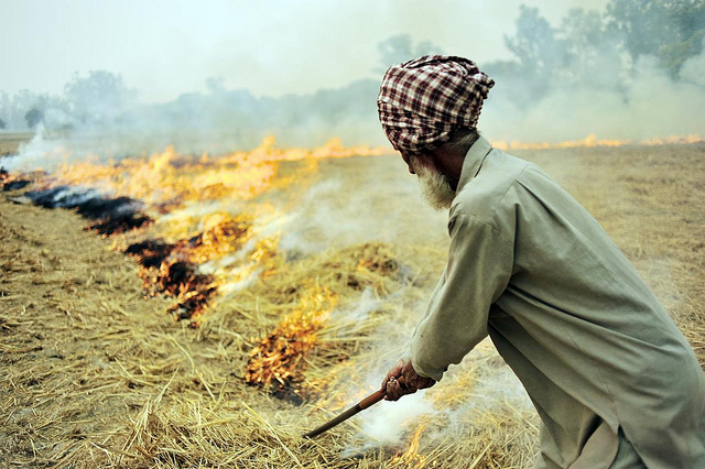 NEW STUDY: Air pollution from India’s stubble burning leads to USD 35 billion economic losses, poses significant health risk