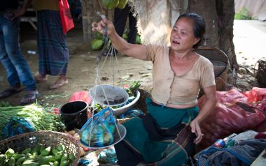 EAT-Lancet Report Bangladesh launch: Transforming food systems to boost nutrition