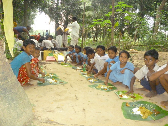 Biofortified staples may hold the key to India’s rural malnutrition