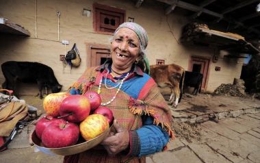 Locally-grown fruits and vegetables can improve diets of rural women in India