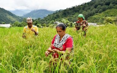 Investment in agricultural research key to offsetting climate change impacts