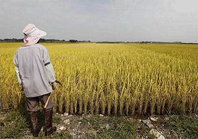 Kisan Pathshala for doubling farmers’ income