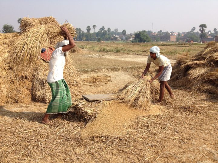 Securing the Harvest: A Forum on Improved Grain Storage for Smallholder Agriculture