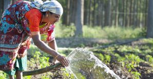 Policy Dialogue on Accelerating Sustainable & Inclusive Agricultural Growth in Bihar
