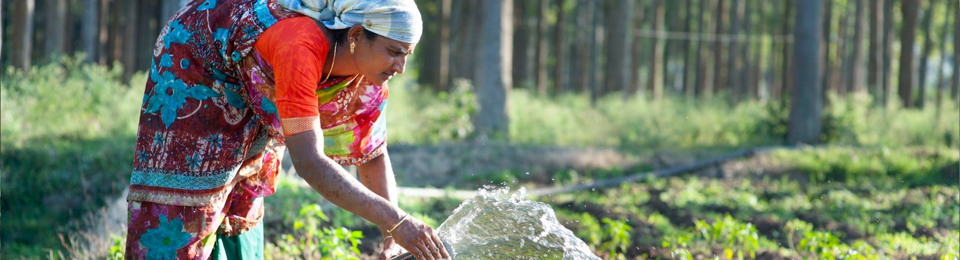 MNREGA: Transforming Rural Employment in India – Achievements, Challenges, and the Way Forward