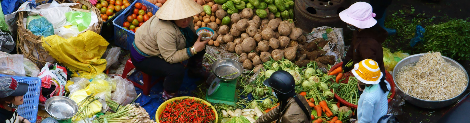 NePAAA Webinar 01 & 02: Market integration in Vietnam and India-Pulse implication for Myanmar