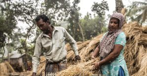 How rural women in Odisha, India, are navigating climate change