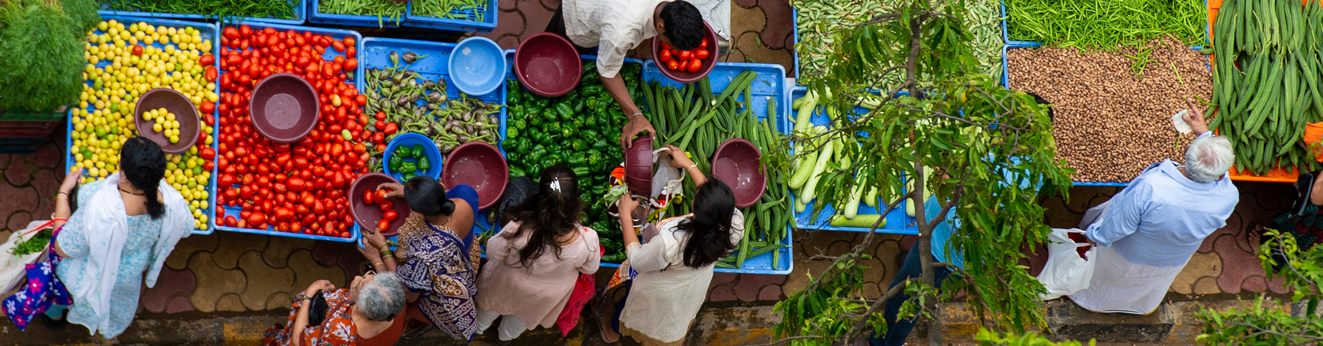 Virtual Event – Food and Agricultural Trade in the New Policy Environment: How Can WTO Members Support Recovery and Resilience in South Asia?