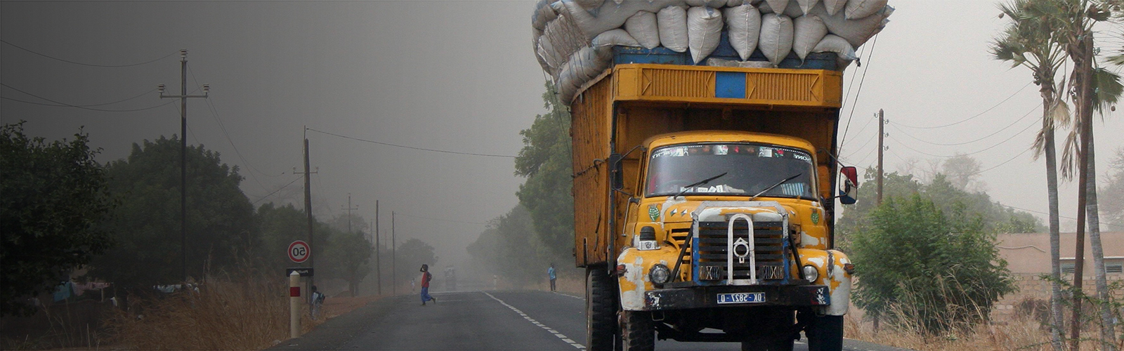 Addressing the knowledge gap on financial needs of firms in agricultural value chains