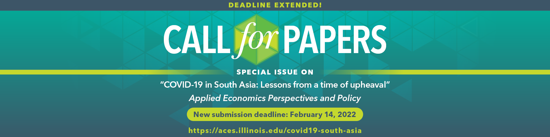 Call For Papers | AEPP Special Issue