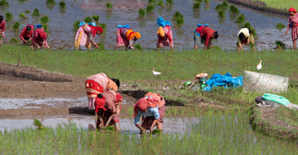 Reach, Benefit, Empower, Transform: Approaches to helping rural women secure their resource rights