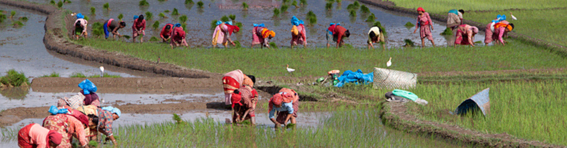 Reach, Benefit, Empower, Transform: Approaches to helping rural women secure their resource rights