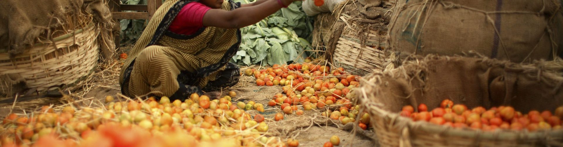 Widening waistline: India’s big, fat obesity hotspots may not be just the biggest cities anymore