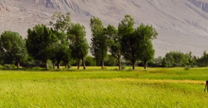 Social protection needs smarter reforms, not just bigger budgets