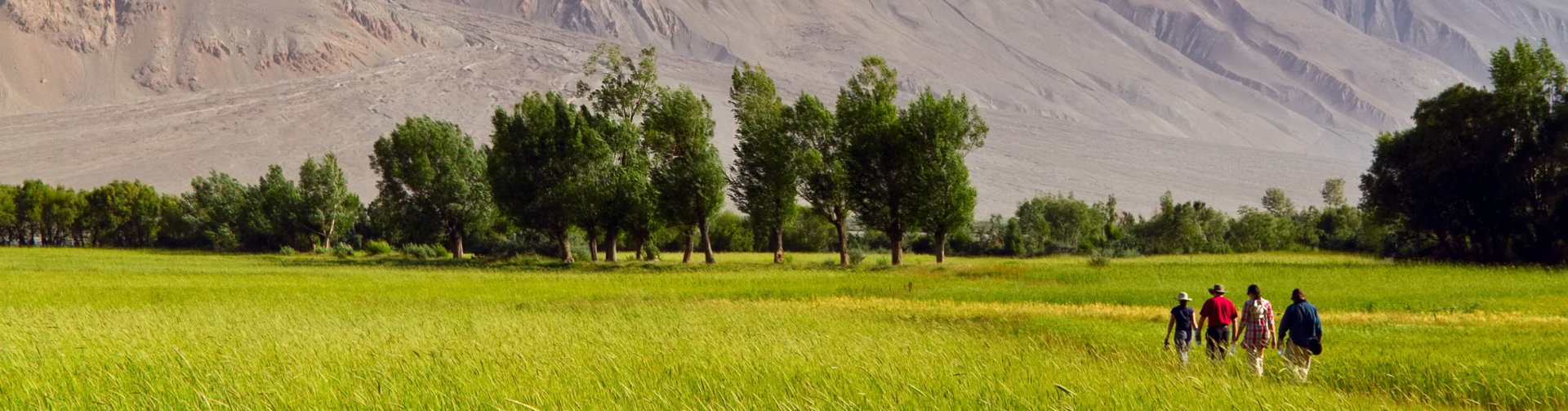 Social protection needs smarter reforms, not just bigger budgets