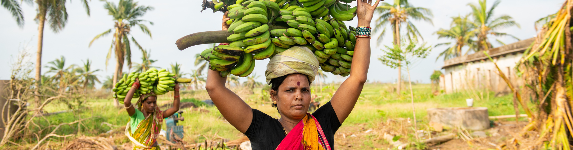 International Women’s Day 2024