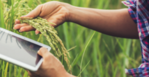 Heat, Harvest, and the Economy: Why Climate Resilience in Agriculture Matters for All Indians