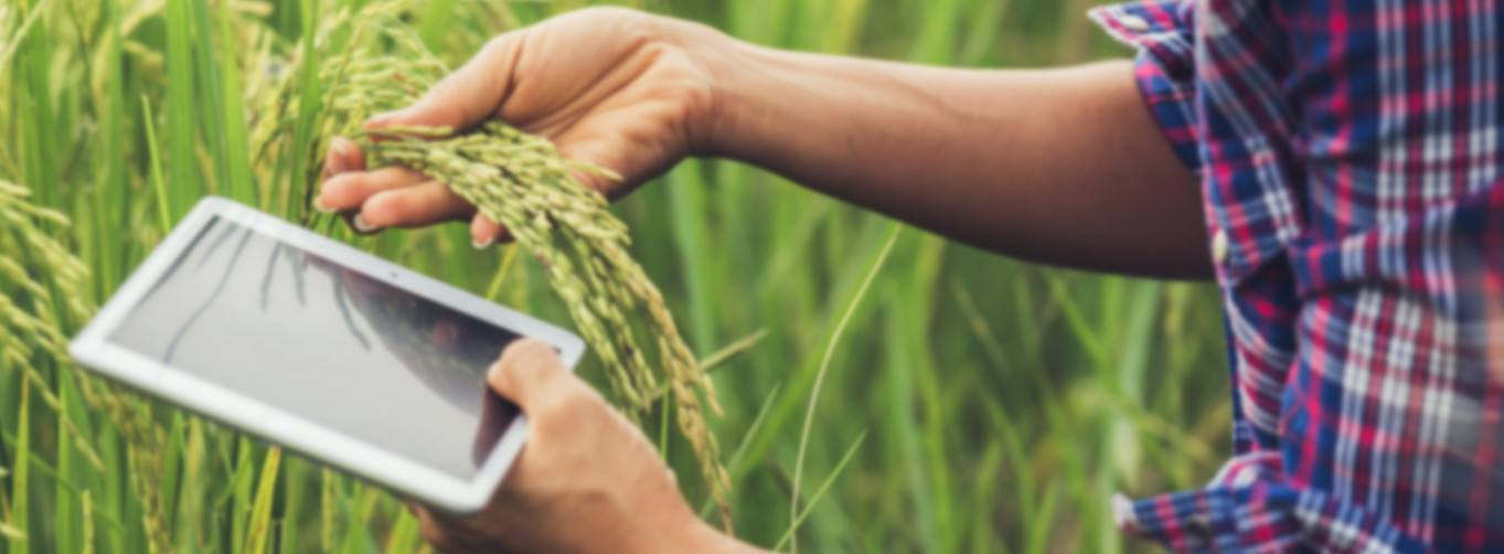 Heat, Harvest, and the Economy: Why Climate Resilience in Agriculture Matters for All Indians