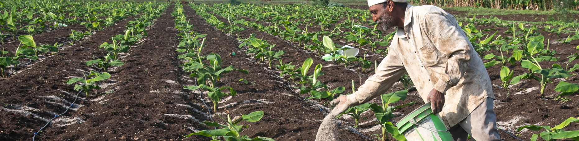 How the Iran war threatens global food supply (NPR)