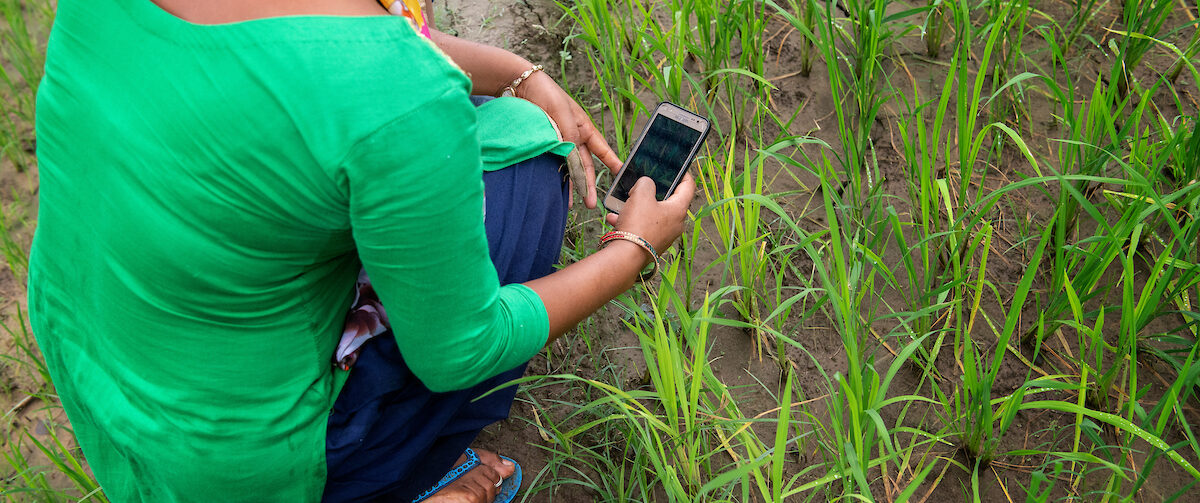 How gendered is farm technology adoption? Evidence from India