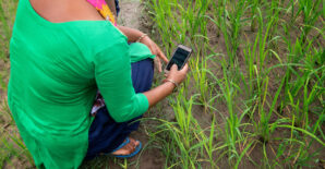 How gendered is farm technology adoption? Evidence from India