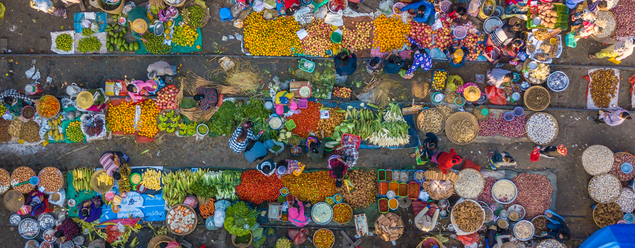 World Food Day 2024: The critical role of healthy diets for realizing the right to food