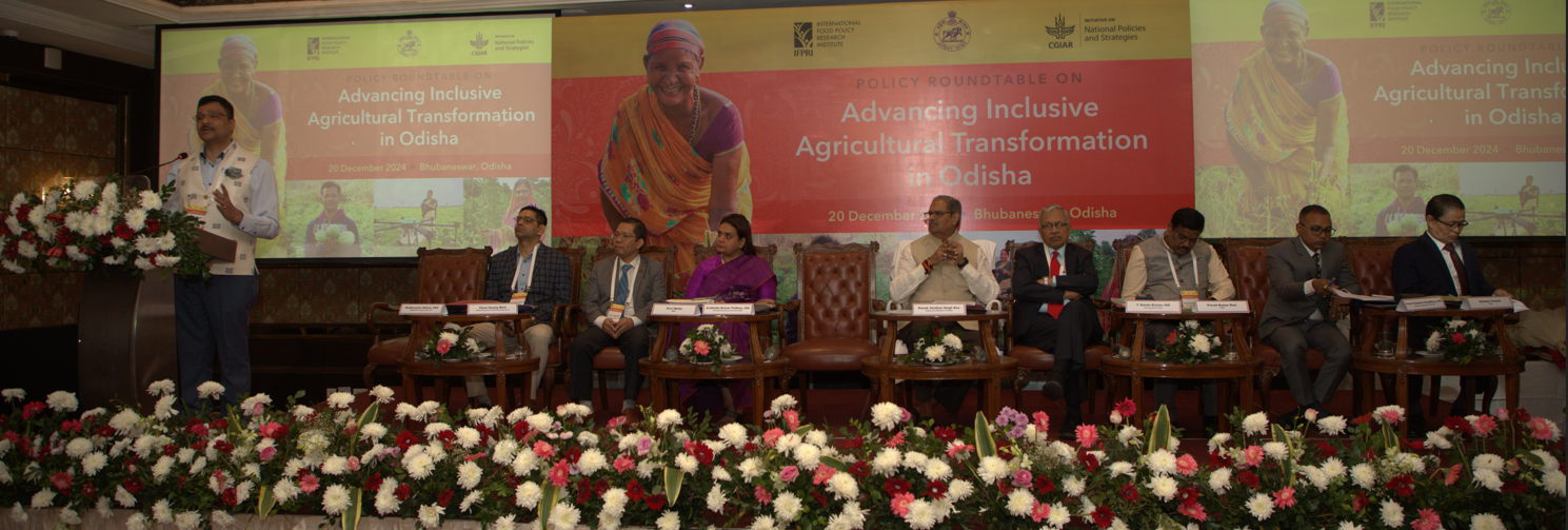 Odisha Hosts Policy Roundtable on Inclusive Agricultural Transformation