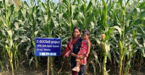 Smritika’s Journey: Embracing Climate-Smart Agriculture in the Drought-Prone High Barind Tract of Bangladesh