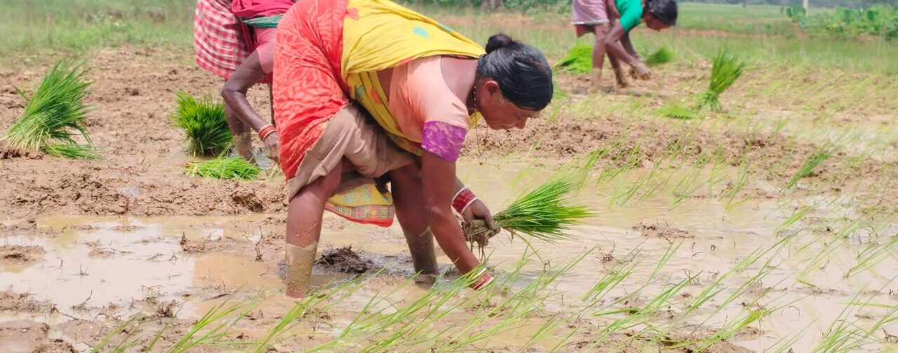 When Women Lead: Odisha’s Path to Climate-Resilient Agriculture