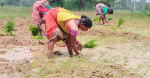 When Women Lead: Odisha’s Path to Climate-Resilient Agriculture