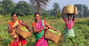 Putting women at the center of agrifood transformation: Lessons from Odisha, India