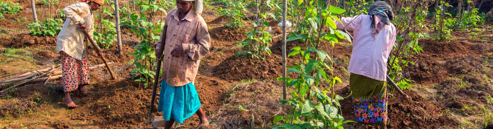 State Level Consultation on role of Natural Resource Management Practices towards addressing Climate Change, Gender Equality and Nutritional Security