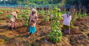 State Level Consultation on role of Natural Resource Management Practices towards addressing Climate Change, Gender Equality and Nutritional Security