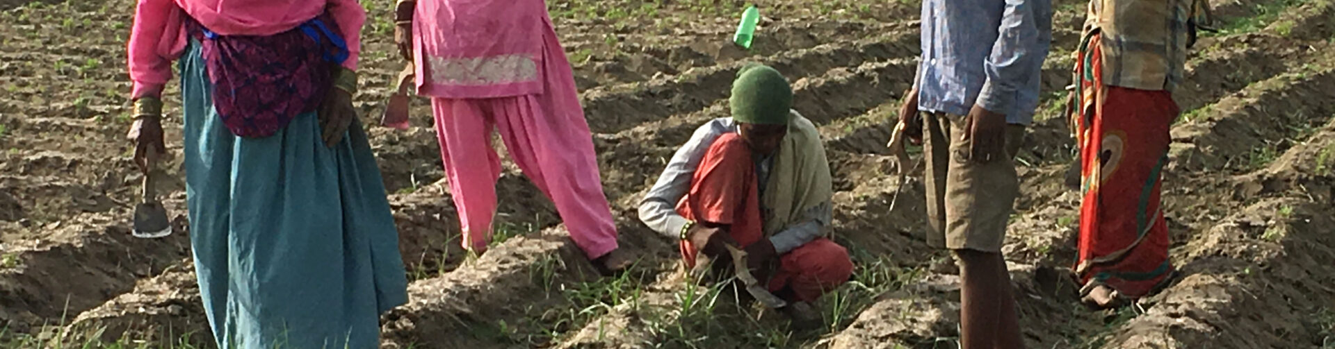 Understanding soil health in practice: Insights from India’s Soil Health Card scheme