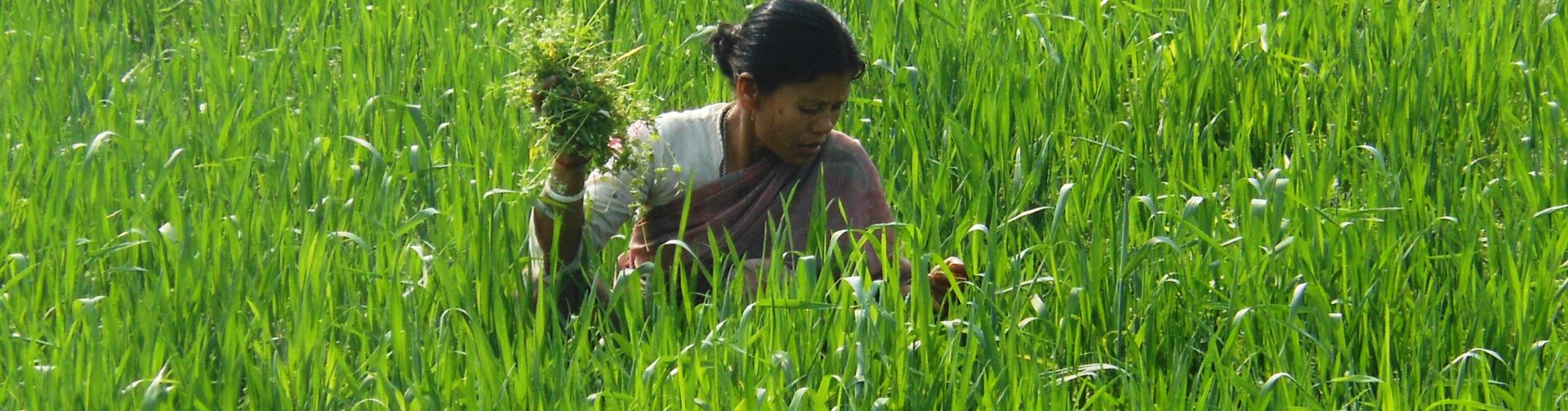 The Paradox of a ‘Women-Friendly’ Sector